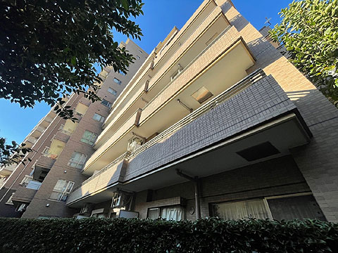 現地外観写真 外観(南東)