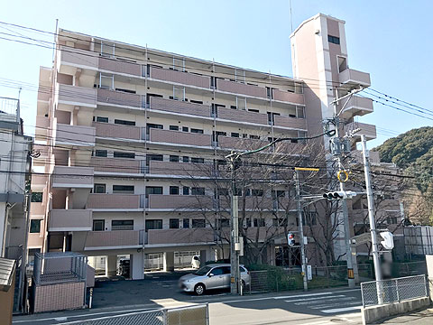 現地外観写真 外観