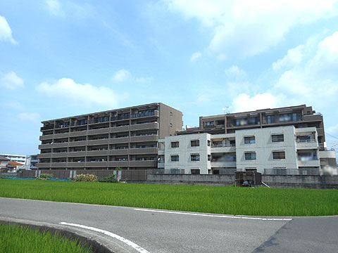 現地外観写真　建物外観（南東方向遠方より）