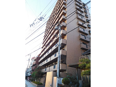 現地外観写真 建物外観