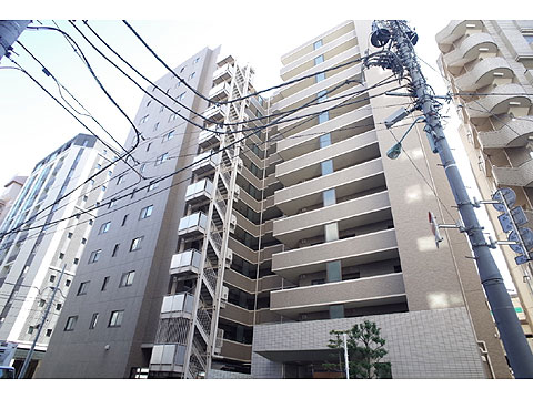 現地外観写真 外観