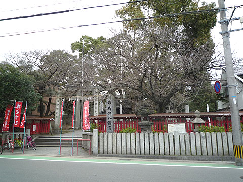 現地土地写真 P1020642