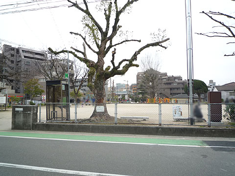 現地土地写真 P1020644