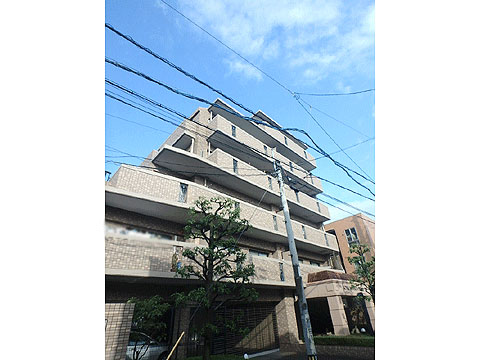 現地外観写真　西側からの外観写真