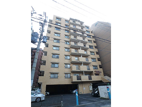 現地外観写真 外観、北側より撮影