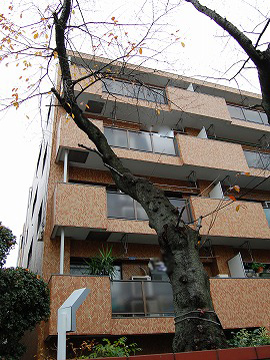 その他共用部　外観4