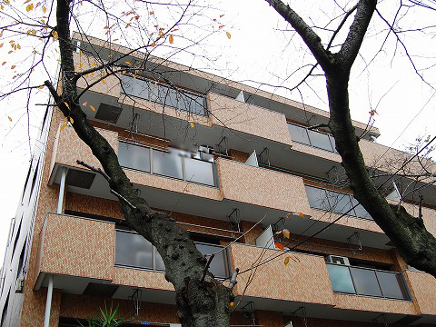 その他共用部　外観7