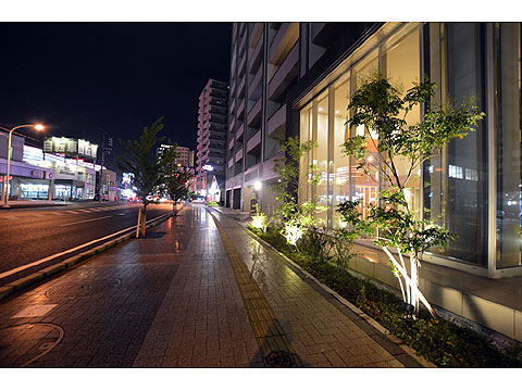 その他共用部 夜の様子