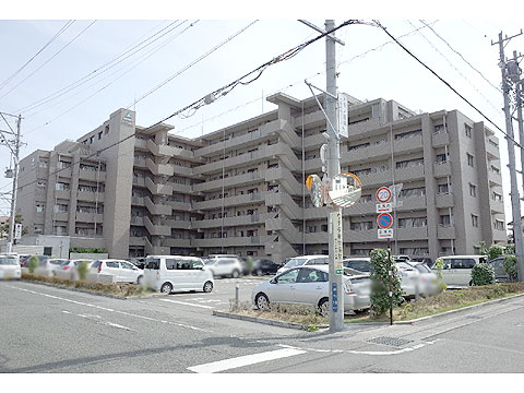 現地外観写真 駐車場