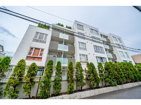 現地外観写真 外観