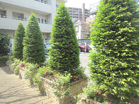 その他共用部　中庭