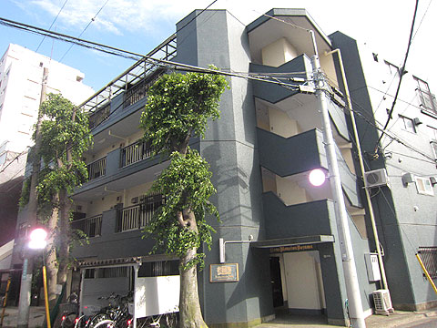 現地外観写真　ライオンズマンション野沢外観 (2)