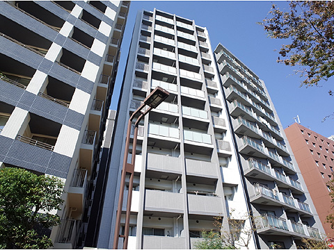 現地外観写真 外観