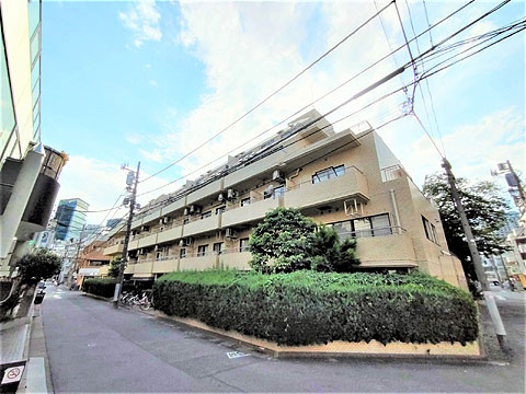 現地外観写真 外観