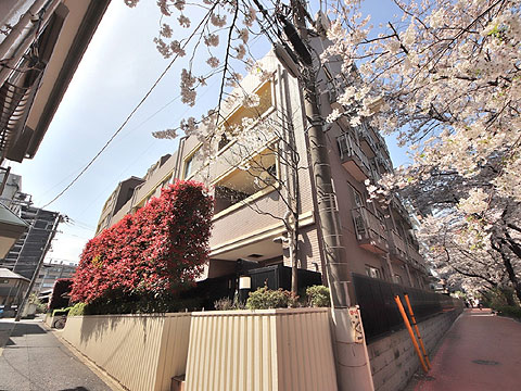 現地外観写真　T000046049 (9)