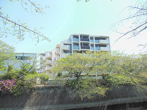 現地外観写真 目黒川沿いに建つマンションです。