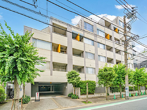 現地外観写真 グランドメゾン目黒南