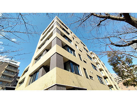 現地外観写真 外観