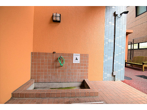 その他共用部　ペット足洗い場を設けております