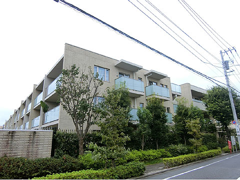 現地外観写真 外観