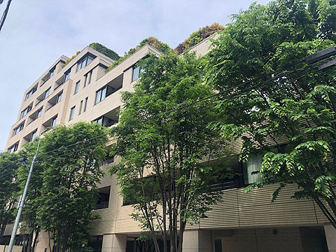 現地外観写真　６