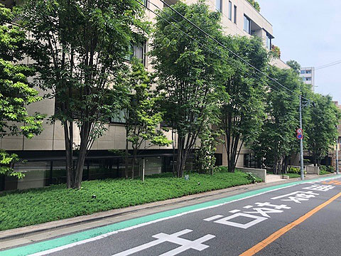 現地外観写真　３