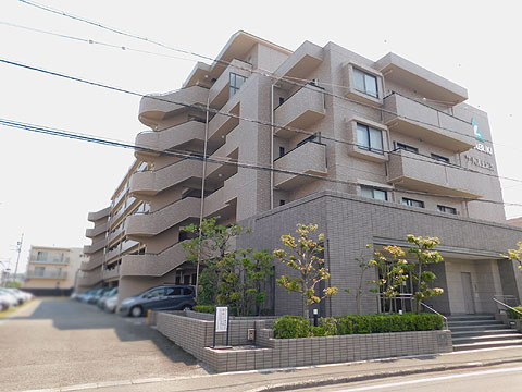 現地外観写真 敷地内駐車場は平置駐車場です