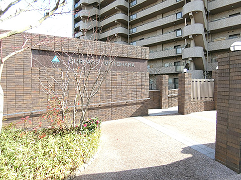 現地外観写真 建物外観