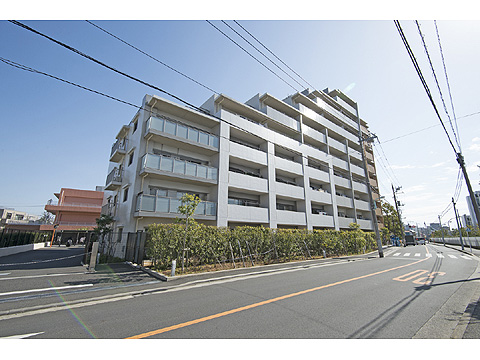 現地外観写真　2013年10月竣工の築浅マンションです。