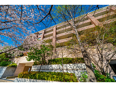 現地外観写真　外観