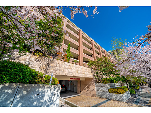 現地外観写真　外観