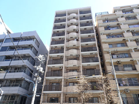 現地外観写真 外観