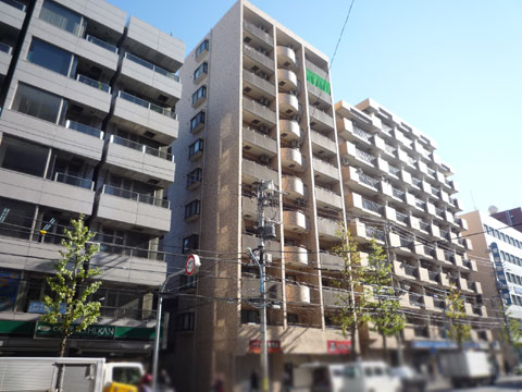 現地外観写真 外観