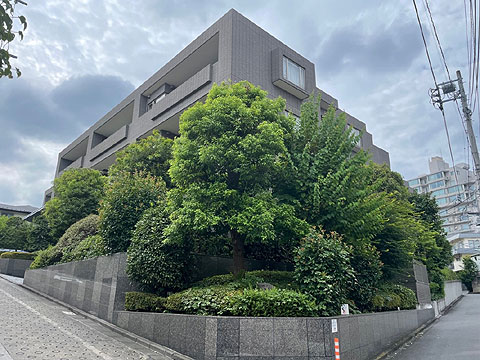 現地外観写真　外観（南東側より）