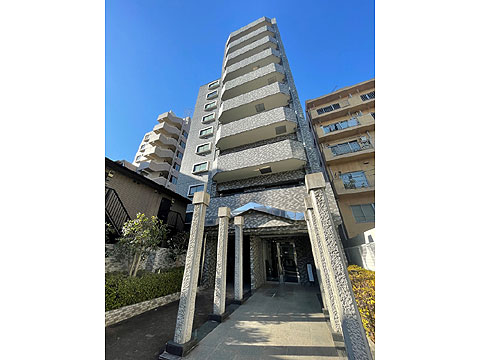 現地外観写真 外観