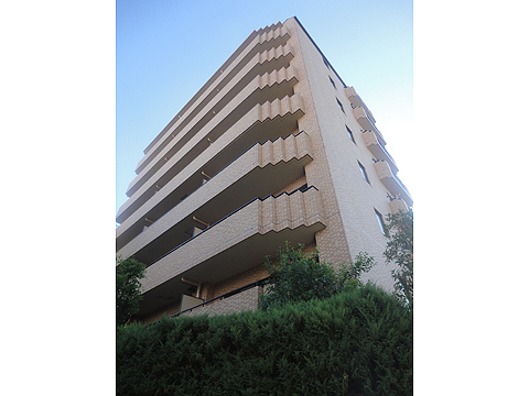 その他共用部　外観2