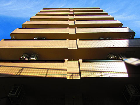 現地外観写真 建物外観(南側)