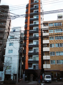 その他共用部 外観2