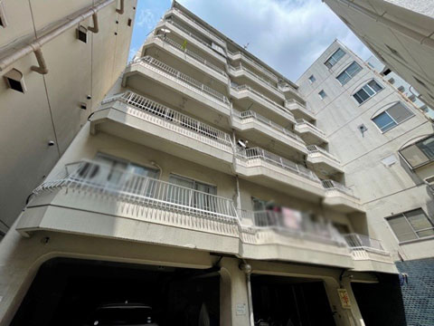 現地外観写真 外観