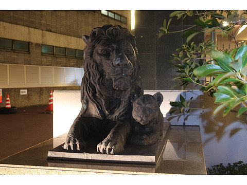 現地外観写真 信頼のLIONSブランド