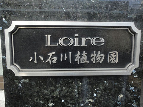 その他共用部　写真1