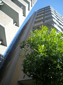 その他共用部　外観4