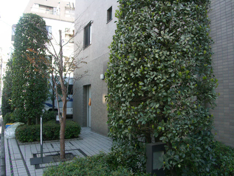 その他共用部　写真2