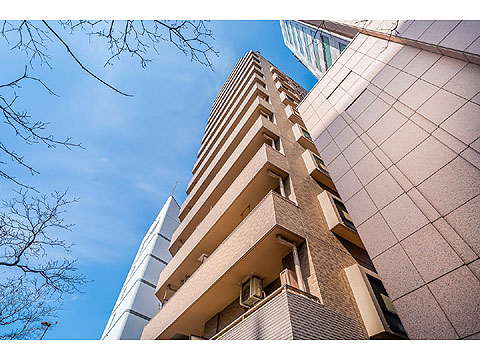 現地外観写真 外観4