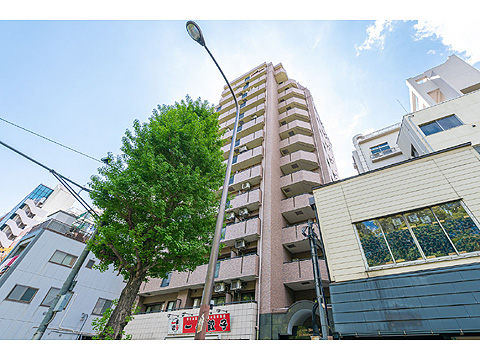 現地外観写真 lionsmansiontodaiakamon