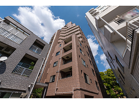 現地外観写真 lionsmansiontodaiakamon