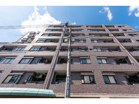 現地外観写真　lionsmansionbunkyohakuz