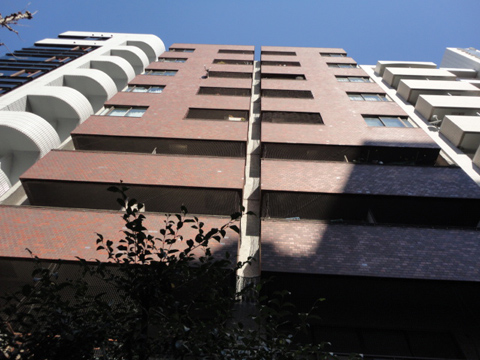 その他共用部 外観6