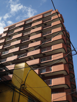 その他共用部 外観6