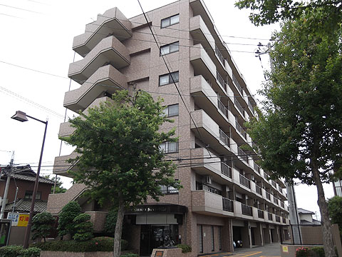 現地外観写真　現地外観